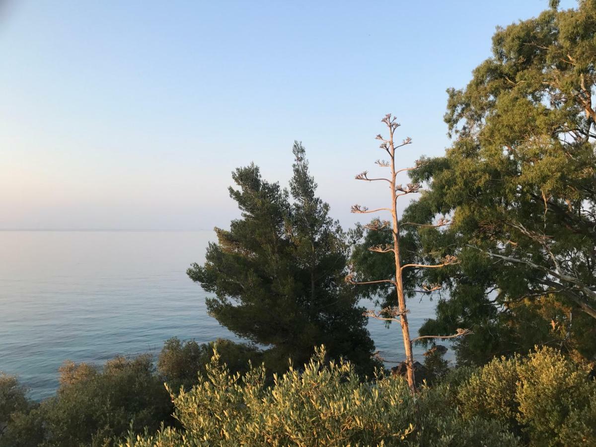 Appartements La Fossette Plage Le Lavandou Kültér fotó